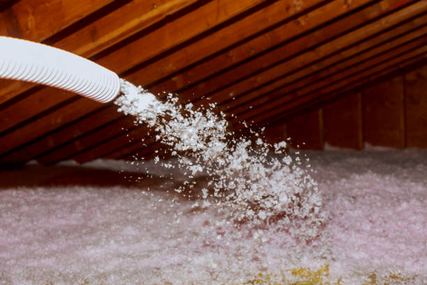 Best Types of Insulation in Eleele, HI
